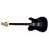PT DELUXE L **** Schecter