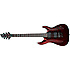 HELLRAISER L BCH Schecter
