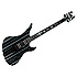 SIGNATURE SYNYSTER Schecter