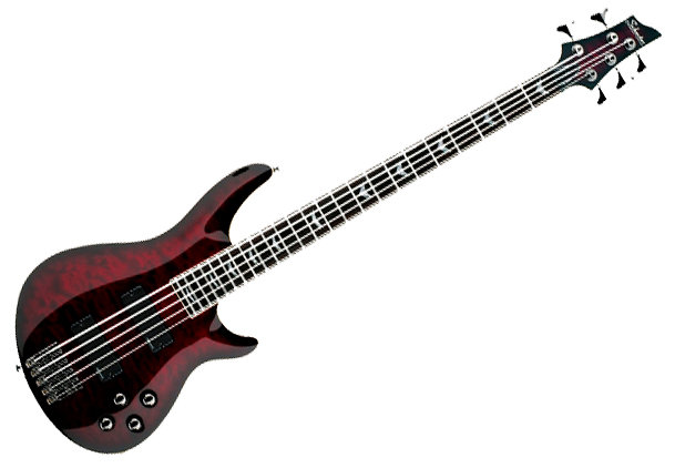 Schecter C5 BCH -