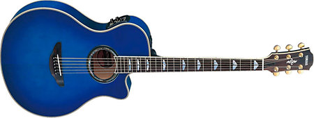 Yamaha APX900-UM