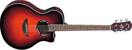 Yamaha APX500-OVS