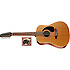 COS12LQI Seagull