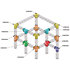 ASC 2520 Angle structure carrée 2 départs 45 degrés 0,80m x 0,80m ASD