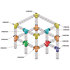 ASC 2541 Angle structure carrée 4 départs 90 degrés 0,75m x 0,75m ASD