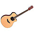 APX500-NT Yamaha