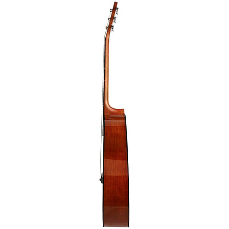 Pack F310PII Tobacco Brown Sunburst + Accessoires Yamaha