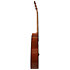 F310 TBS Tobaco Brown Sunburst Yamaha