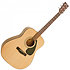 Pack F310PII Natural + Accessoires Yamaha