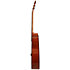 Pack F310PII Tobacco Brown Sunburst + Accessoires Yamaha