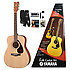 FP40P Yamaha