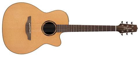 Takamine ETN20C