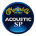 SP Acoustic MSP4200 Medium 13-56 Martin Strings