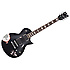 TRUCKSTER Signature James Hetfield BK ESP