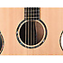 G406S Takamine