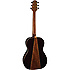 G406S Takamine