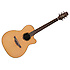 ETN20C Takamine