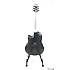 CC54I-PL Ovation