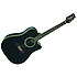 EG321C Takamine