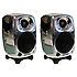 8020 BZM (La Pièce) Genelec
