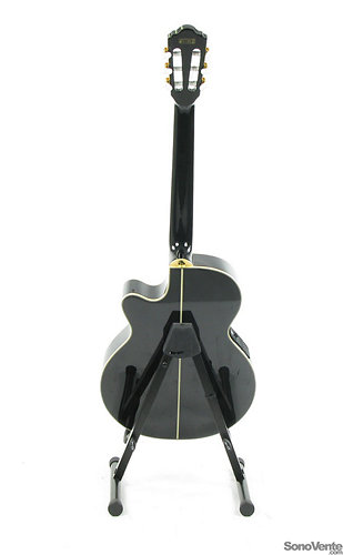 AEG10NE-BK - Noire Ibanez