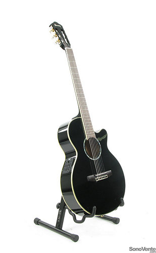 AEG10NE-BK - Noire Ibanez