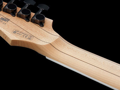 RGA420Z-PRT Ibanez