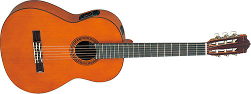 Yamaha CGX101A2