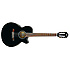 AEG10NE-BK - Noire Ibanez