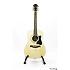 V50JRGB-NT  - Ibanez
