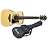 V50JRGB-NT  - Ibanez