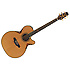 SAKURA Takamine