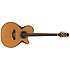SAKURA Takamine
