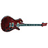 Singlecut Birds - Black Cherry PRS