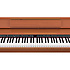 DP990FMC Roland