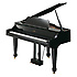 RG 3F PE Roland