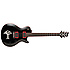 Nick Catanese PRS