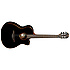 TN100A14CE-BLK LAG