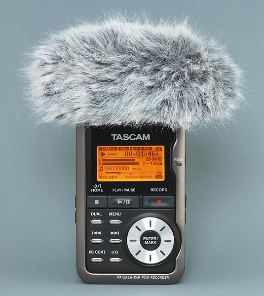 DR2D Tascam