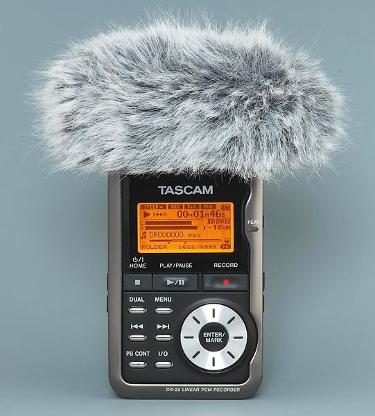 DR2DW Tascam