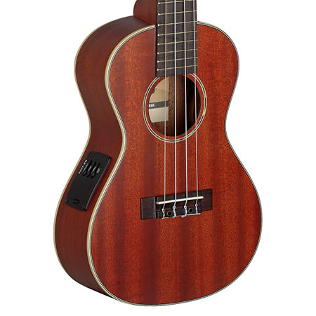 UC80SE Stagg