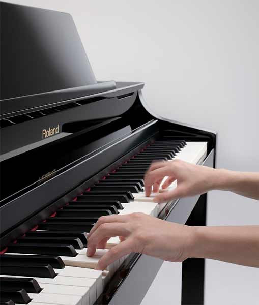 HP307SB Roland