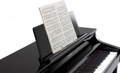 HP307SB Roland