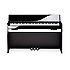 PX830BP Casio