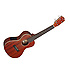 UC80SE Stagg
