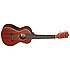 UC80SE Stagg
