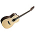 NP32F JN Guitars