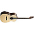 NP32F JN Guitars