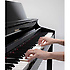 HP307SB Roland