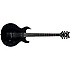 Blackjack S1 Schecter
